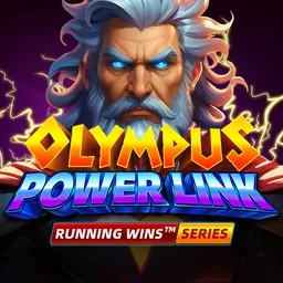 Olympus Power Link